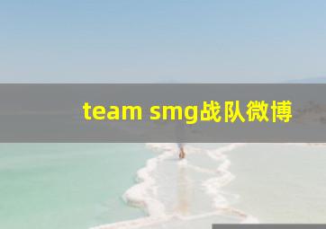 team smg战队微博